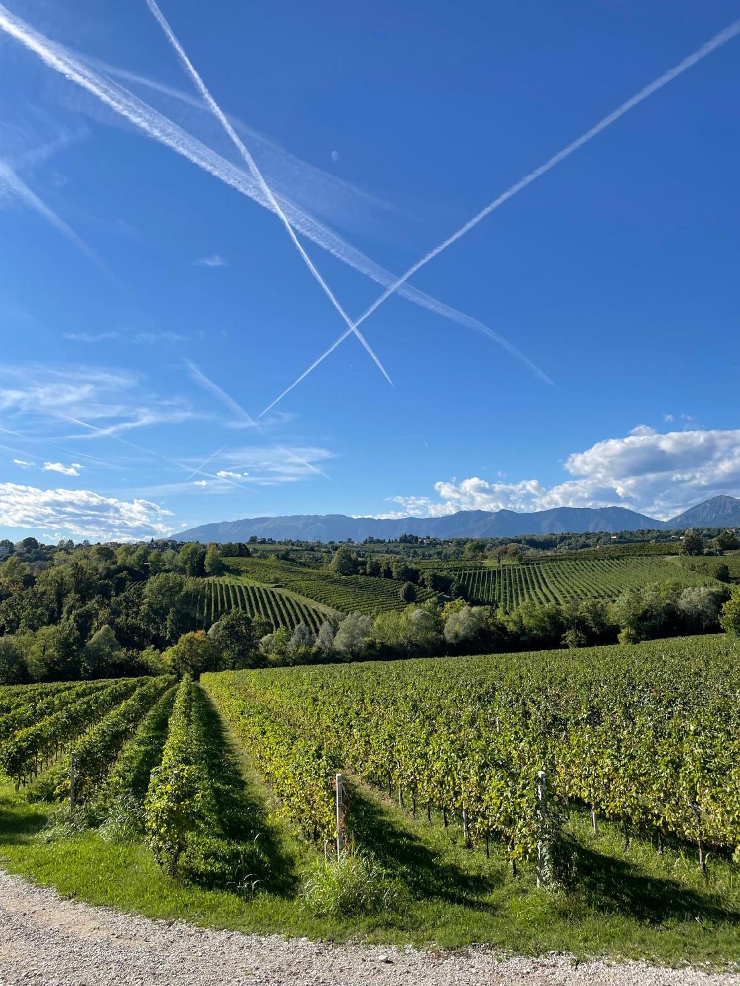 Tenuta Malvolti - Al Vecchio Convento San Fior di Sopra المظهر الخارجي الصورة